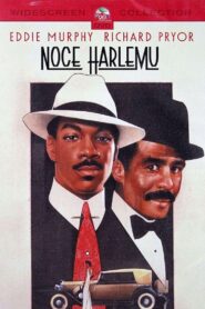 Noce Harlemu (1989)