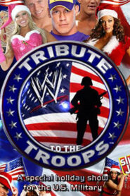 WWE Tribute to the Troops 2017 (2017)