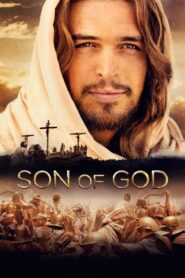Syn Boży (2014)