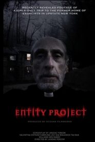 Entity Project (2019)