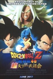 Dragon Ball Z: The Real 4-D at 超天下一武道会 (2017)