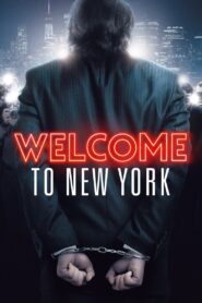 Witamy w Nowym Jorku (2014)