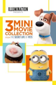 The Secret Life of Pets: 3 Mini-Movies Collection (2016)