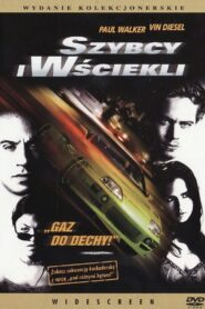 Szybcy i Wściekli (2001)