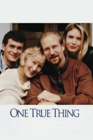 Jedyna prawdziwa rzecz (1998)