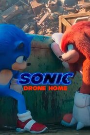 Sonic Drone Home (2022)