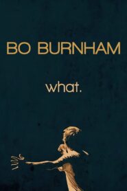 Bo Burnham: What. (2013)