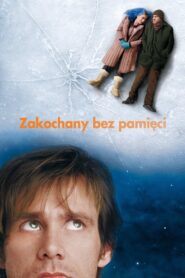 Zakochany bez pamięci (2004)