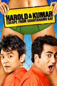Harold i Kumar uciekają z Guantanamo (2008)