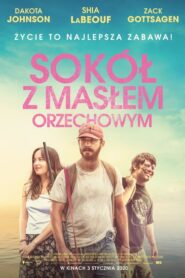 Sokół z Masłem Orzechowym (2019)