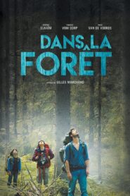 W głąb lasu (2016)
