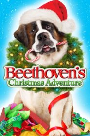 Beethoven – Świąteczna przygoda (2011)